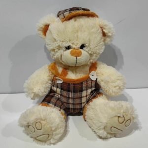 Oso con gorro y remera escoces