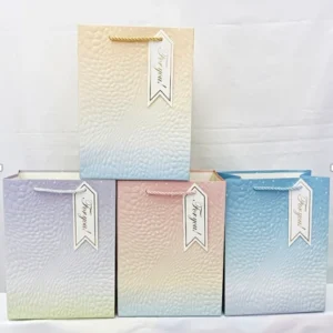 AA0932 BOLSA DE REGALO MEDIANA X12