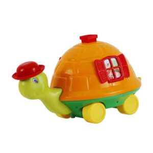 RP4008105 - TORTUGA MANUELITA