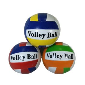 PELOTA DE VOLLEYBALL N5