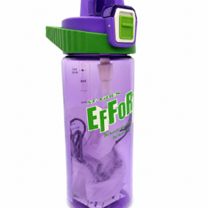 BOTELLA EFFORT 650 ML