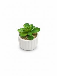 MINI SUCULENTA ARTIFICIAL