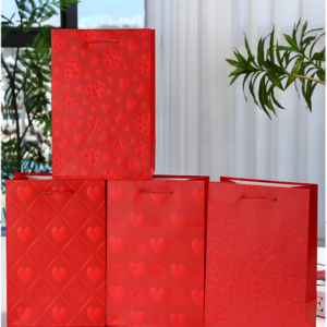 BOLSA DE REGALO GRANDE 30CM X 41.5CM X 12CM - X 12 UNIDADES