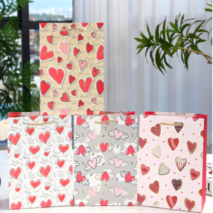 BOLSA DE REGALO CHICO 2025080818688 18CM X 23CM X 10CM - X 12 UNIDADES