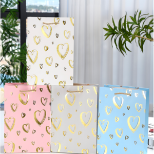 BOLSA DE REGALO MEDIANO 2025080818848 26CM X 32CM X10CM - X 12 UNIDADES