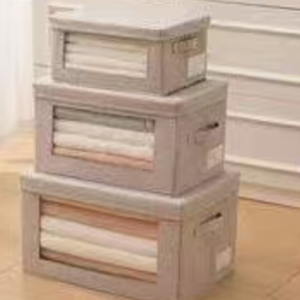 CAJA ORGANIZADORA CON TAPA 29*22*17CM