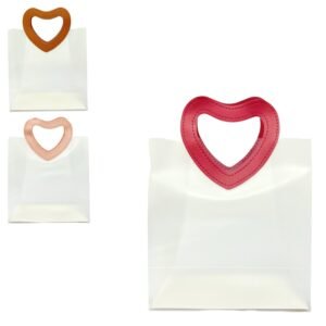 PACK x10PCS BOLSA DE REGALO 22x21x11 C-3067