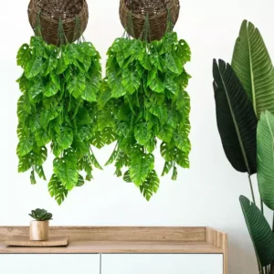 Ramo Hojas Colgante De Monstera Viene 5 Colgante Cada Ramo