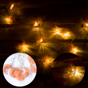 GUIRNALDA DE LUCES LED CON DISEÑO DE LUNA DE COBRE X10 2007505086087