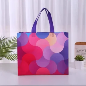BOLSA DE REGALO REUTILIZABLE ESTAMPADA SURT. - X 12 UNI